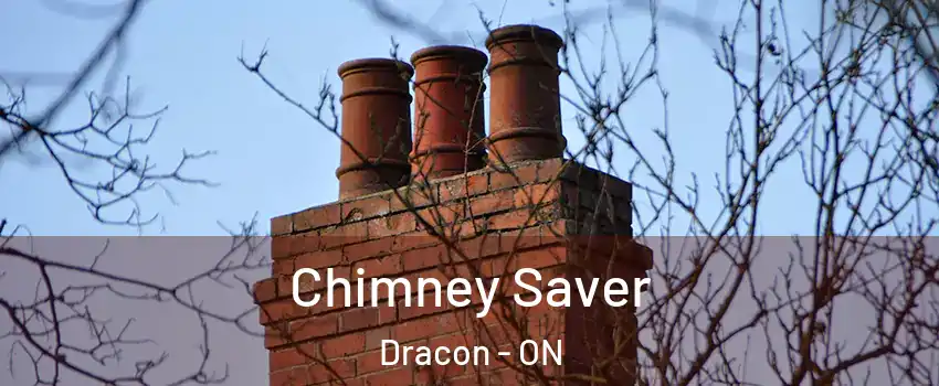  Chimney Saver Dracon - ON