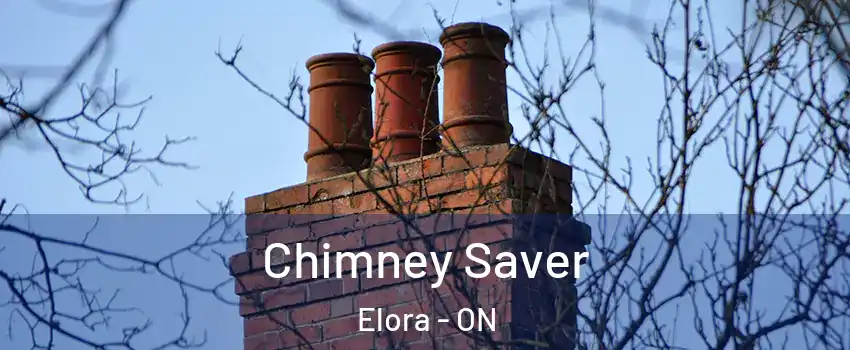  Chimney Saver Elora - ON