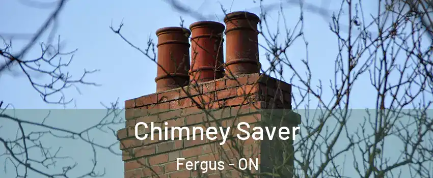  Chimney Saver Fergus - ON