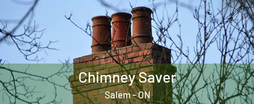  Chimney Saver Salem - ON