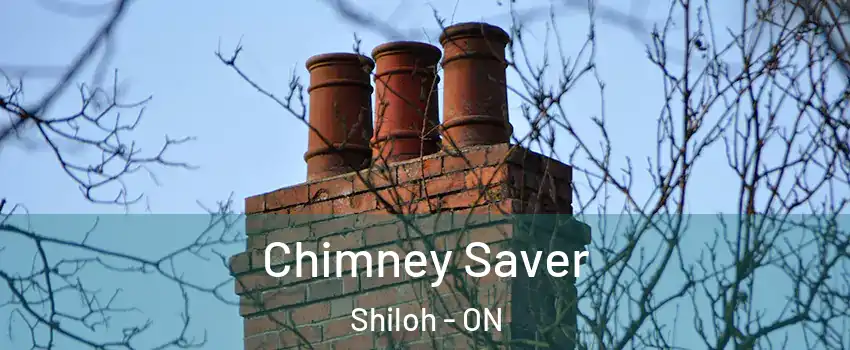  Chimney Saver Shiloh - ON
