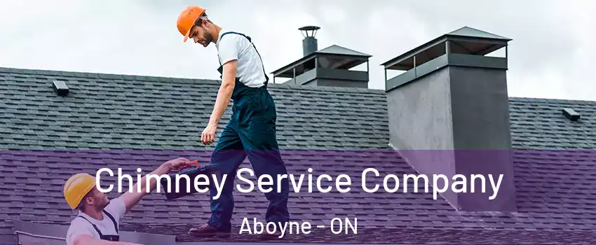  Chimney Service Company Aboyne - ON
