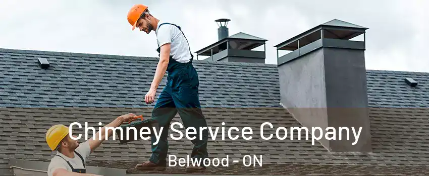  Chimney Service Company Belwood - ON