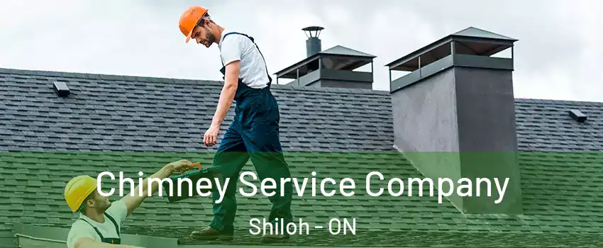  Chimney Service Company Shiloh - ON