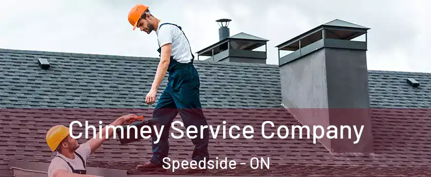  Chimney Service Company Speedside - ON