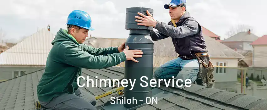  Chimney Service Shiloh - ON