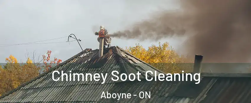  Chimney Soot Cleaning Aboyne - ON