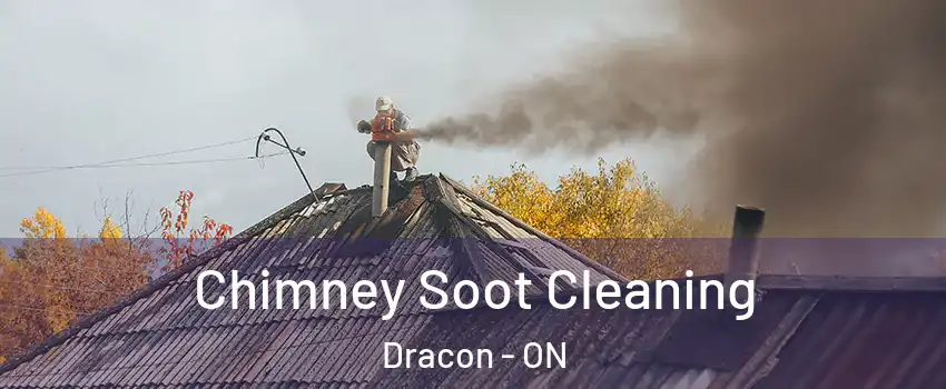  Chimney Soot Cleaning Dracon - ON