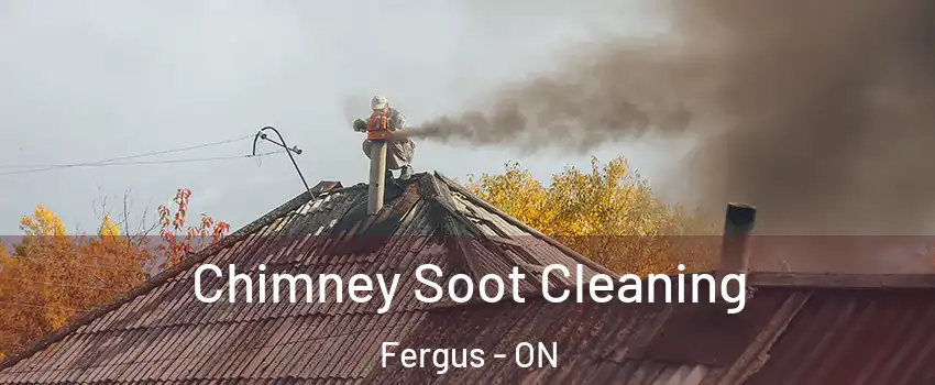  Chimney Soot Cleaning Fergus - ON