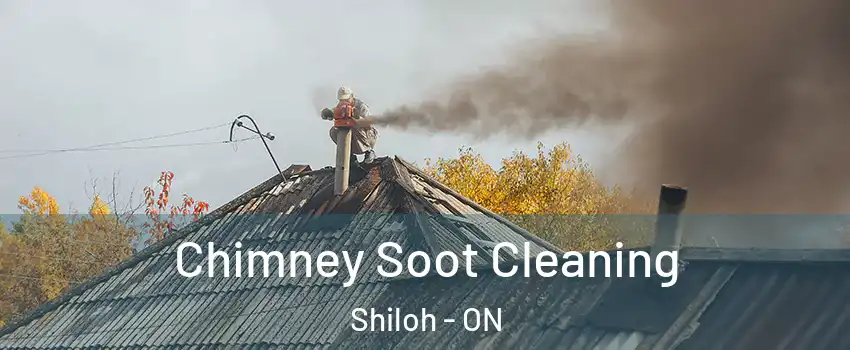 Chimney Soot Cleaning Shiloh - ON
