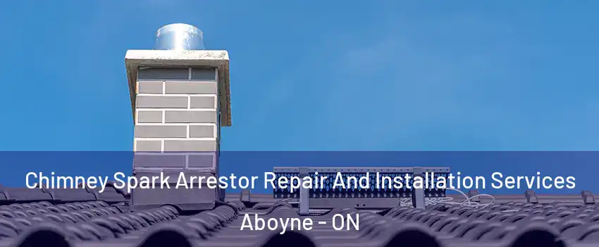  Chimney Spark Arrestor Repair And Installation Services Aboyne - ON