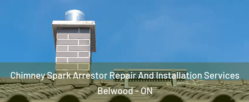  Chimney Spark Arrestor Repair And Installation Services Belwood - ON