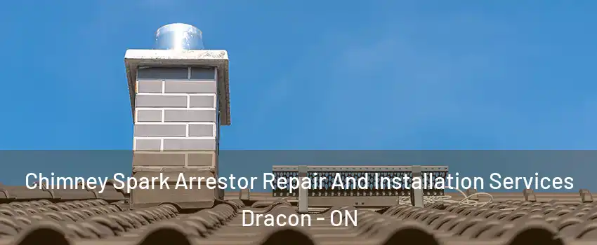  Chimney Spark Arrestor Repair And Installation Services Dracon - ON