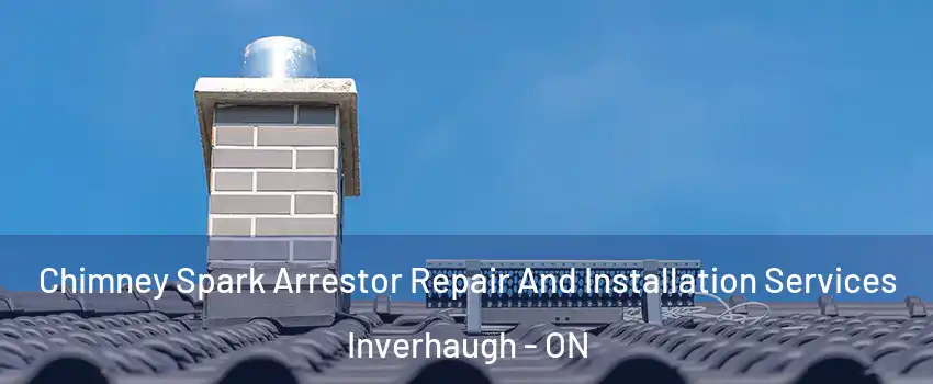  Chimney Spark Arrestor Repair And Installation Services Inverhaugh - ON