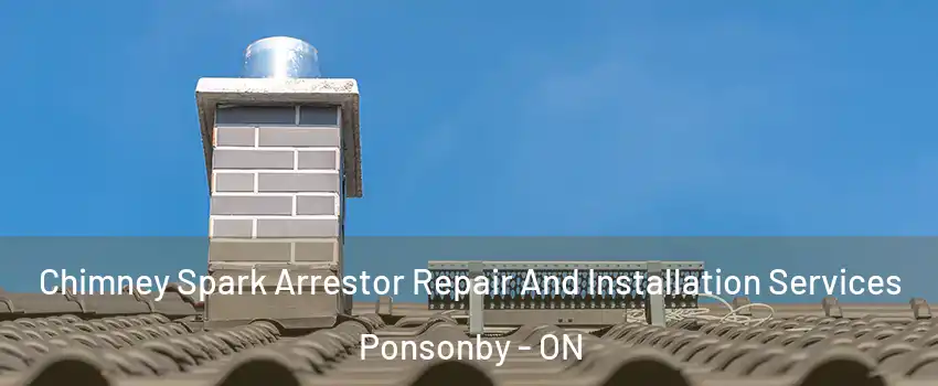  Chimney Spark Arrestor Repair And Installation Services Ponsonby - ON
