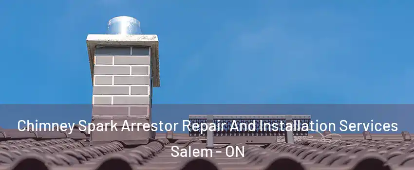  Chimney Spark Arrestor Repair And Installation Services Salem - ON