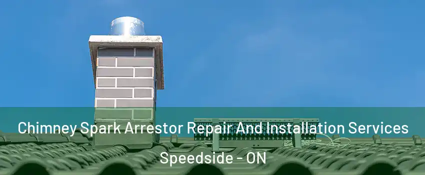  Chimney Spark Arrestor Repair And Installation Services Speedside - ON