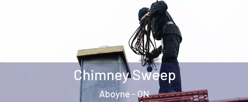  Chimney Sweep Aboyne - ON