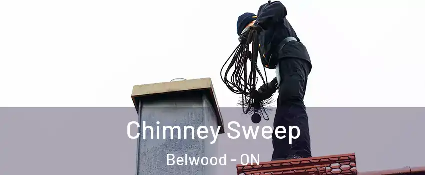  Chimney Sweep Belwood - ON
