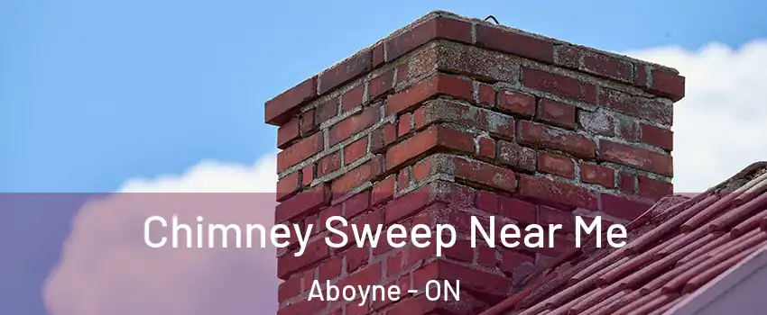  Chimney Sweep Near Me Aboyne - ON