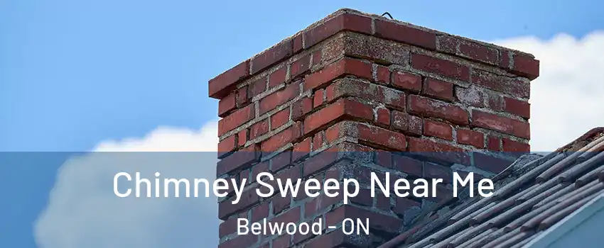  Chimney Sweep Near Me Belwood - ON