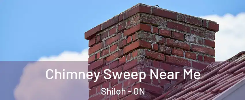  Chimney Sweep Near Me Shiloh - ON