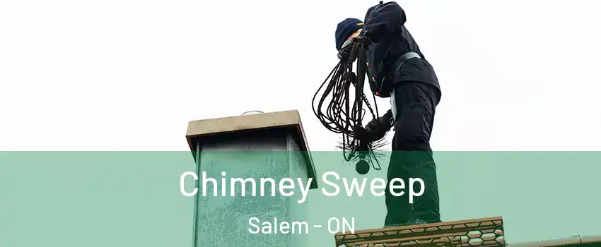  Chimney Sweep Salem - ON