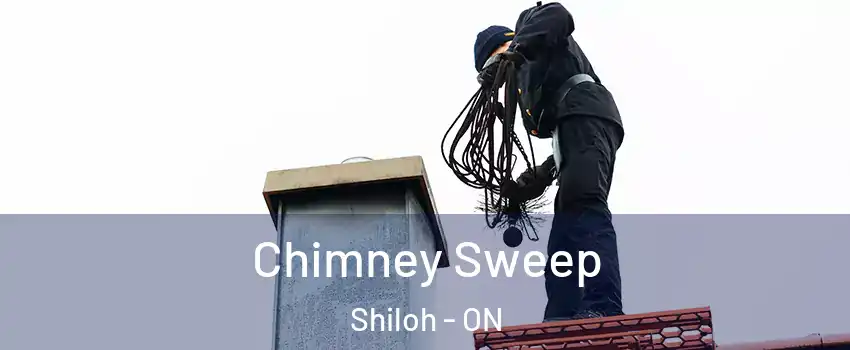  Chimney Sweep Shiloh - ON