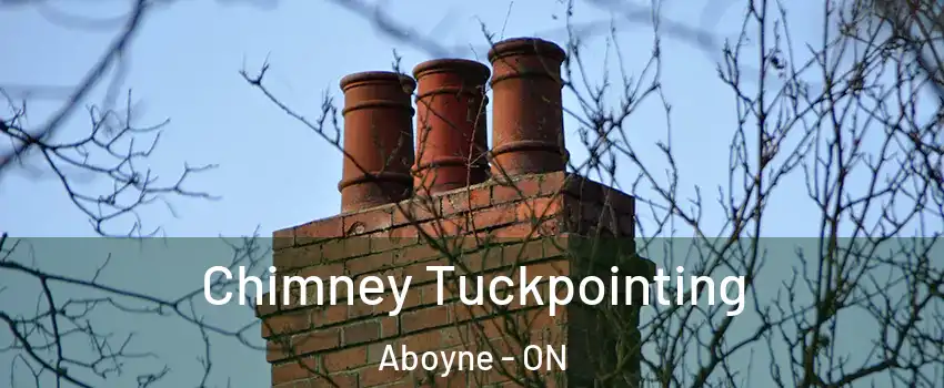  Chimney Tuckpointing Aboyne - ON