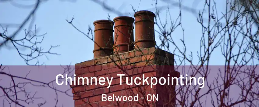  Chimney Tuckpointing Belwood - ON