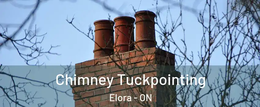  Chimney Tuckpointing Elora - ON