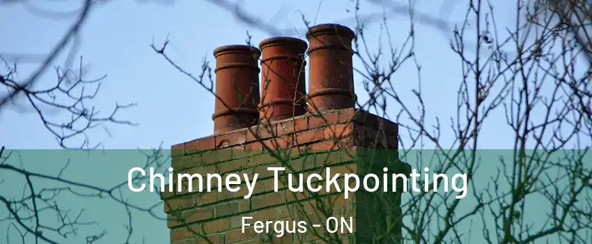  Chimney Tuckpointing Fergus - ON