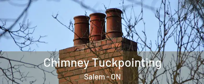  Chimney Tuckpointing Salem - ON