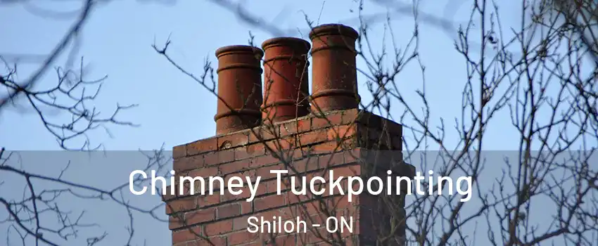  Chimney Tuckpointing Shiloh - ON
