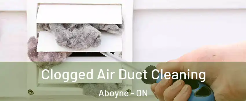  Clogged Air Duct Cleaning Aboyne - ON