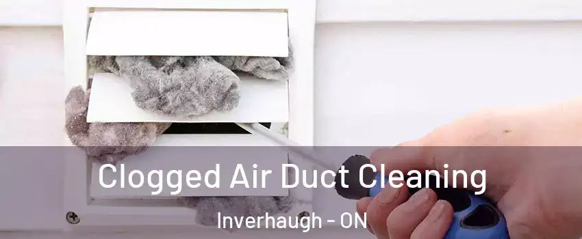  Clogged Air Duct Cleaning Inverhaugh - ON
