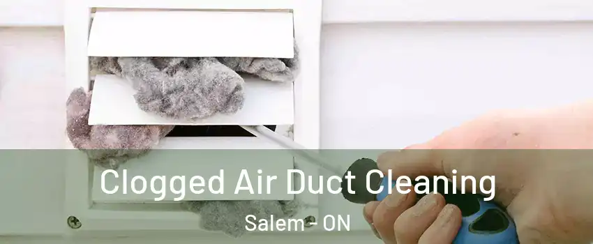  Clogged Air Duct Cleaning Salem - ON