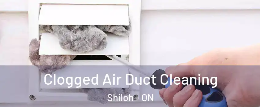  Clogged Air Duct Cleaning Shiloh - ON