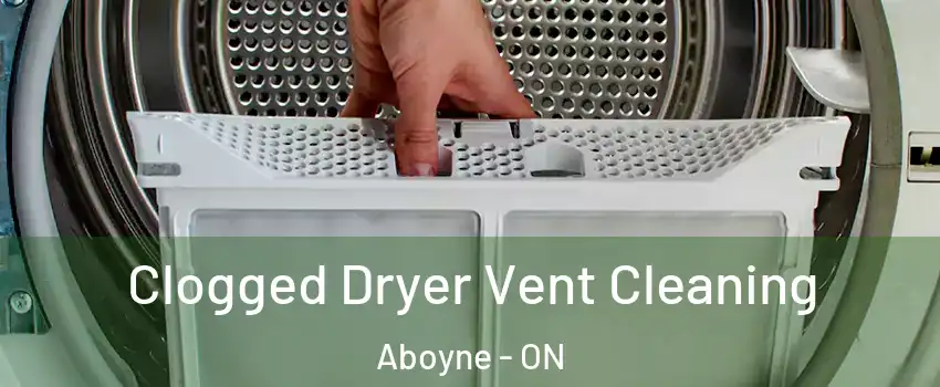  Clogged Dryer Vent Cleaning Aboyne - ON