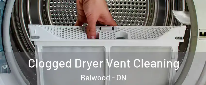  Clogged Dryer Vent Cleaning Belwood - ON