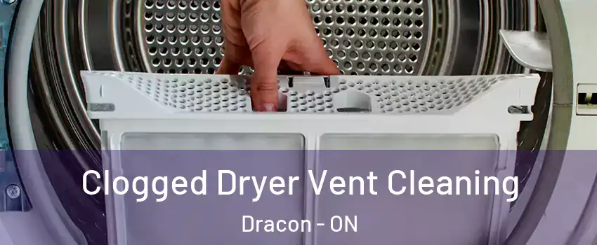 Clogged Dryer Vent Cleaning Dracon - ON