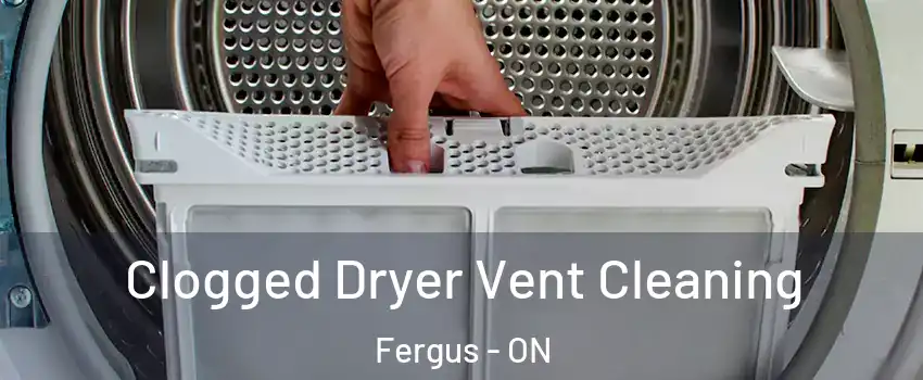  Clogged Dryer Vent Cleaning Fergus - ON