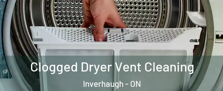 Clogged Dryer Vent Cleaning Inverhaugh - ON