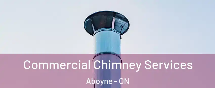  Commercial Chimney Services Aboyne - ON