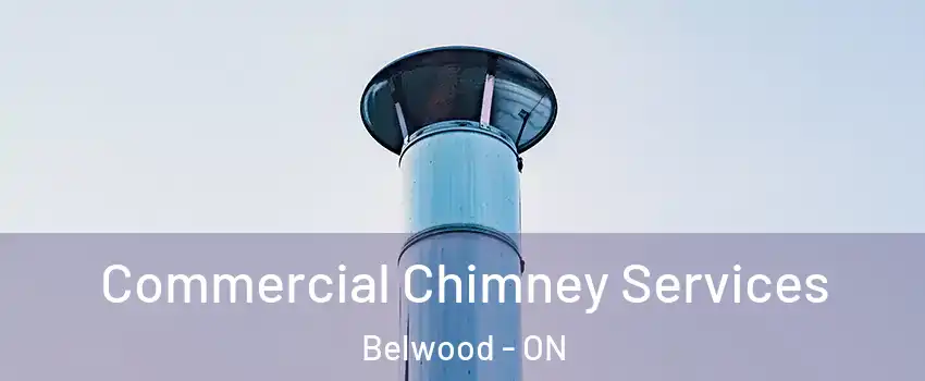  Commercial Chimney Services Belwood - ON