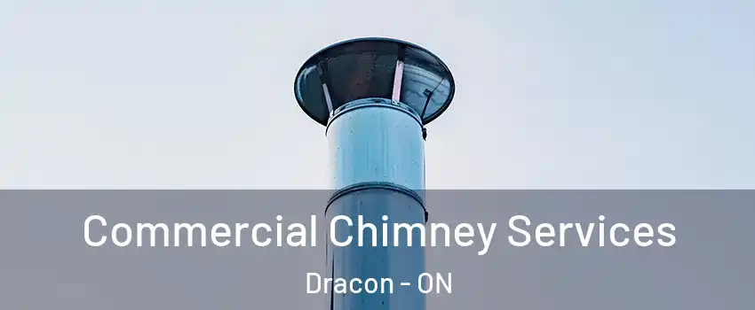  Commercial Chimney Services Dracon - ON