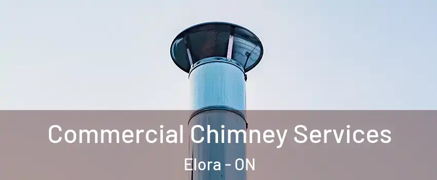  Commercial Chimney Services Elora - ON