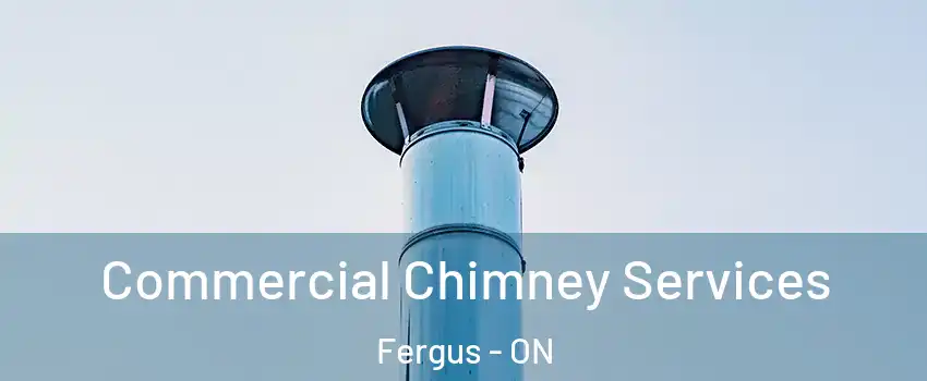  Commercial Chimney Services Fergus - ON