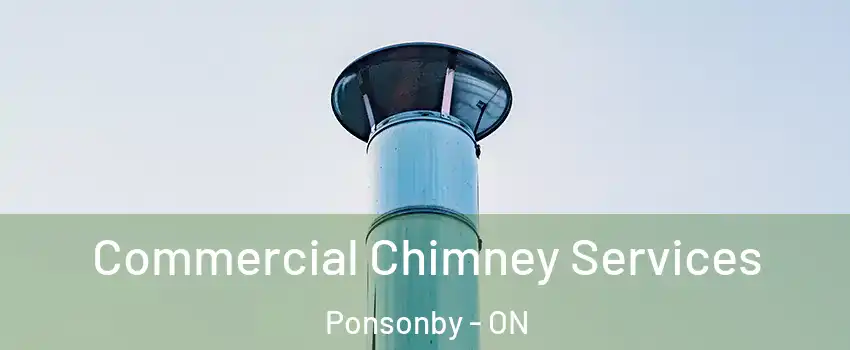  Commercial Chimney Services Ponsonby - ON