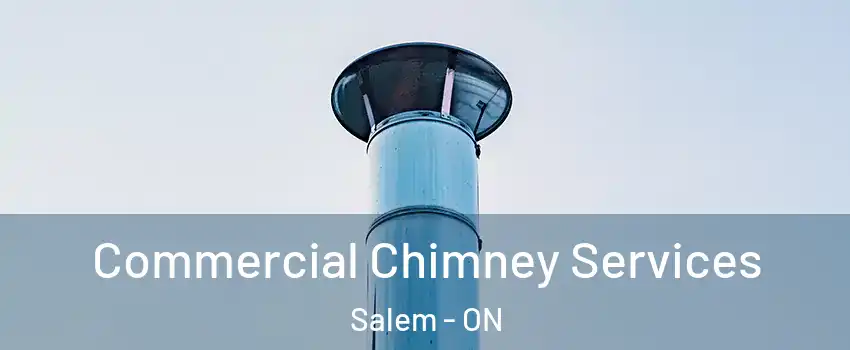  Commercial Chimney Services Salem - ON